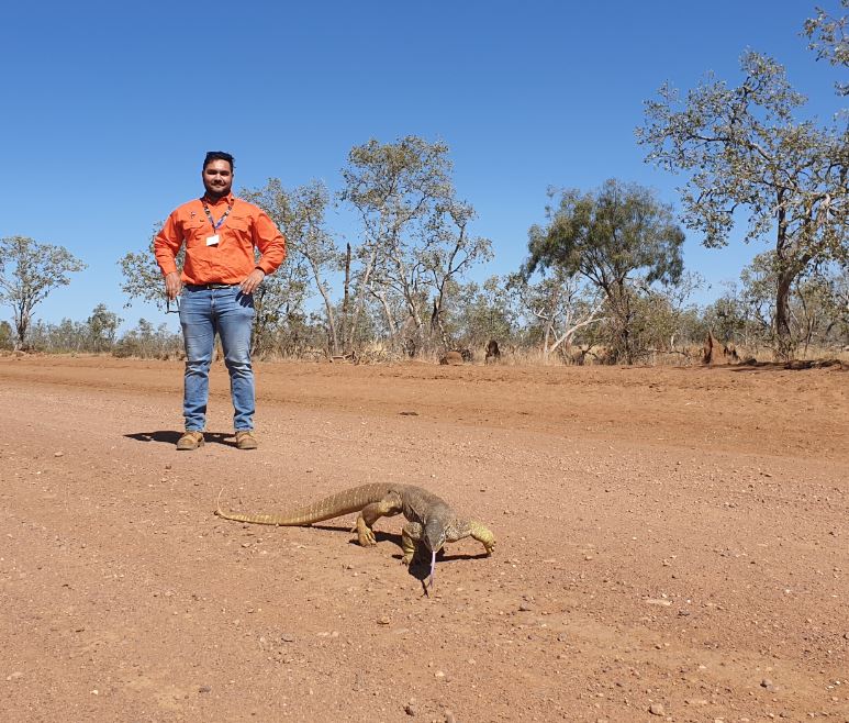 Man standing in bushland behind goanna