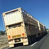 Road train truck driving on the road