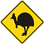 koala; traffic control; signage; warning; wildlife; wild; life; animal; sign; signs; animals; fauna; crossing; conservation area; injured; injury; hurt; slow; crash; 1300; 1300animal; 1300 animal; protection; protected; trial; kangaroo; kangaroos; symbol; symbolic; symbols; beware; cassowary; vehicle activated; care; caution; koalas; northern bettong;1454;1576;1607;1621;1622;1678;1918;1921;2021;2095;2296;9866;2358; tc1454;tc1576;tc1607;tc1621;tc1622;tc1678;tc1918;tc1921;tc2021;tc2095;tc2296;tc9866;tc2358