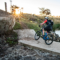 Bicycle riders on trail