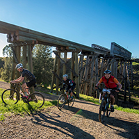 Bicycle riders on trail