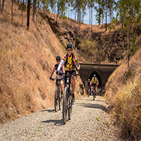 Bicycle riders exiting tunnel