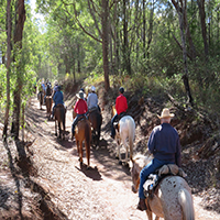 Group of horse riders