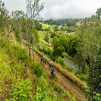 Bicycle riders near roadway