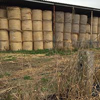 Hay bales