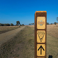 Trail signage