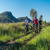 4 persons riding bicycles