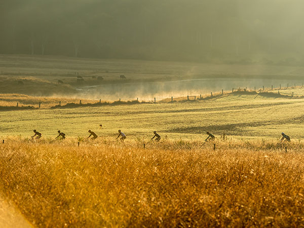 A line of bicycle riders riding across a plain