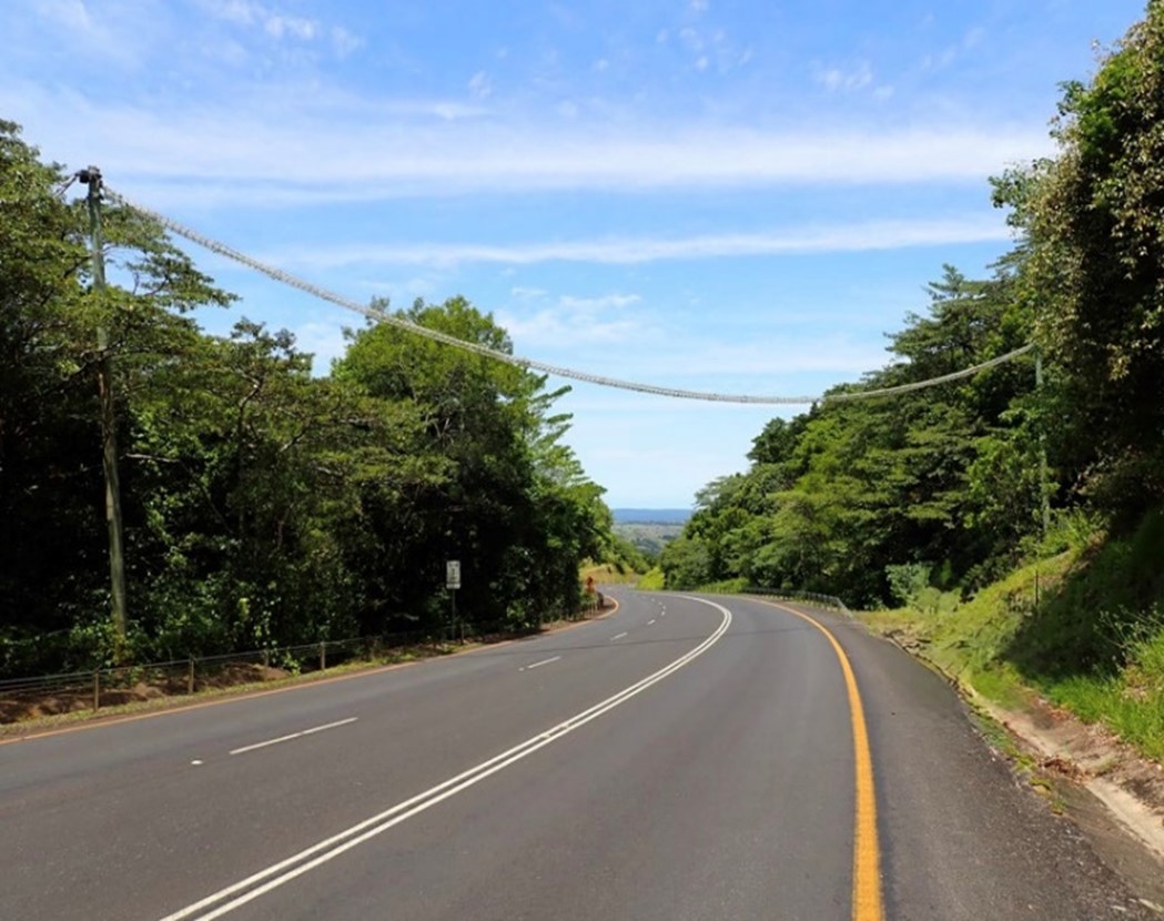 East Evelyn Road, with a Fauna rope bridge going across the road attached to poles on each side of the road and trees on either side of the road.