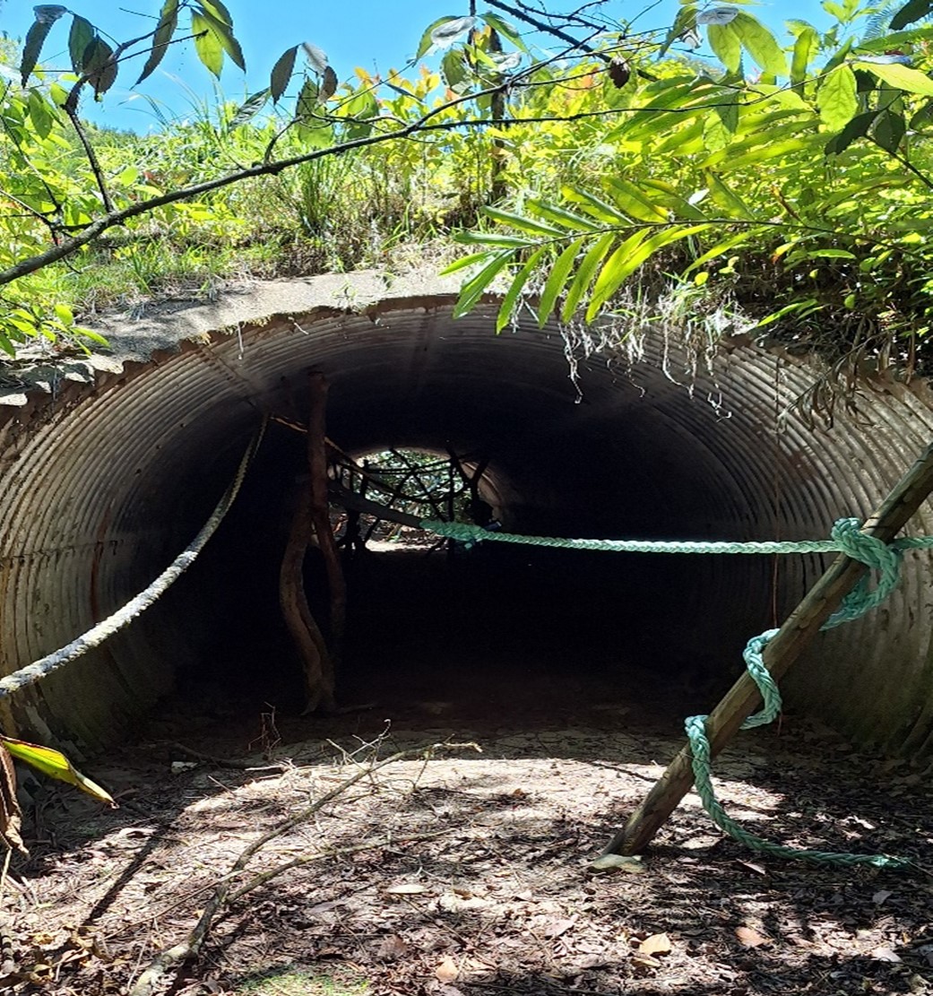 A culvert equipped with ropes facilitates safe fauna movement. Regular inspections are conducted to ensure the culvert remains accessible and functional for wildlife