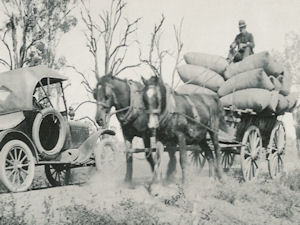 Cotton Haulage, south of Gatton 1924