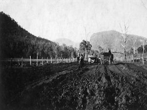 New and old modes of transport meet on a black soil road.