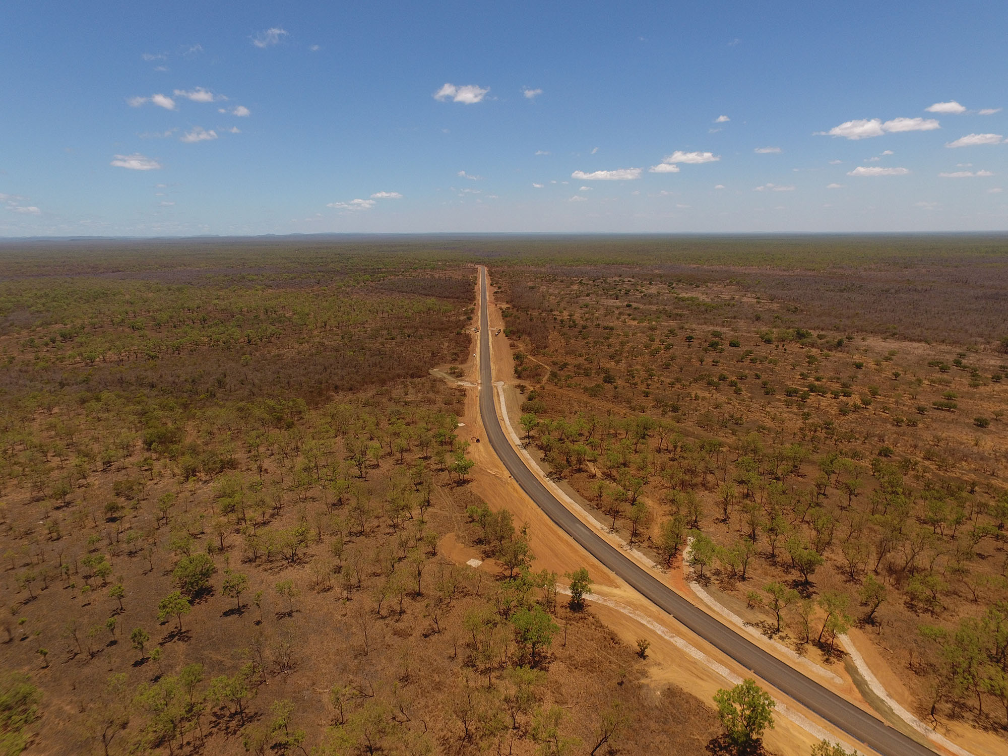 A road surrounded by trees leading to the horizon