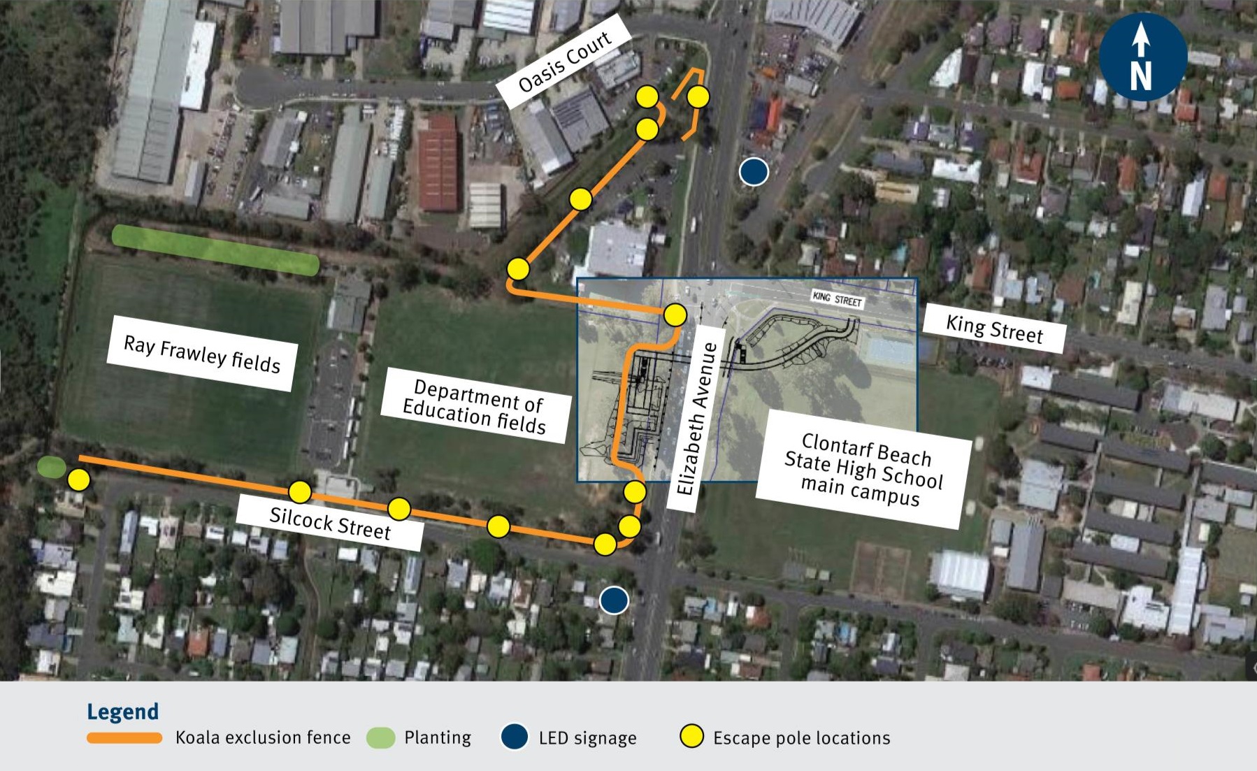 Koala safety plan for the Clontarf - Anzac Avenue (Elizabeth Avenue), construct active transport overpass project