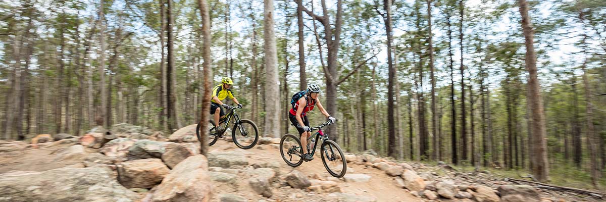 2 bike riders riding on a rocky downhill track among trees.