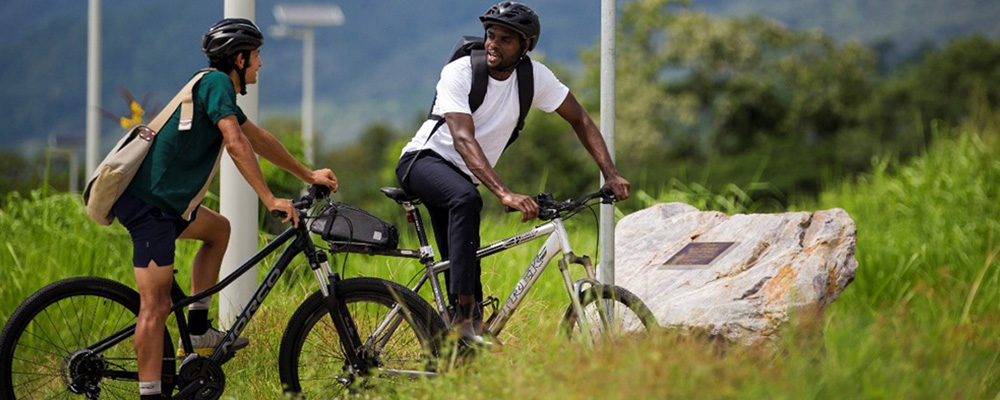 A child, and adult and a teenager ride bikes on a path next to an outer-city road. All 3 wear helmets and the child and adult wear gloves.