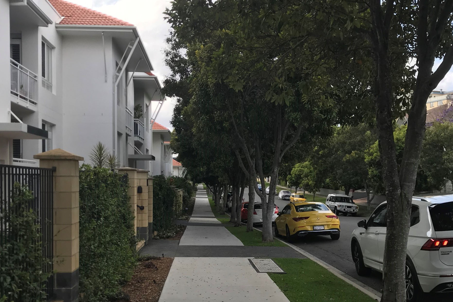 Pathway with trees aligning it